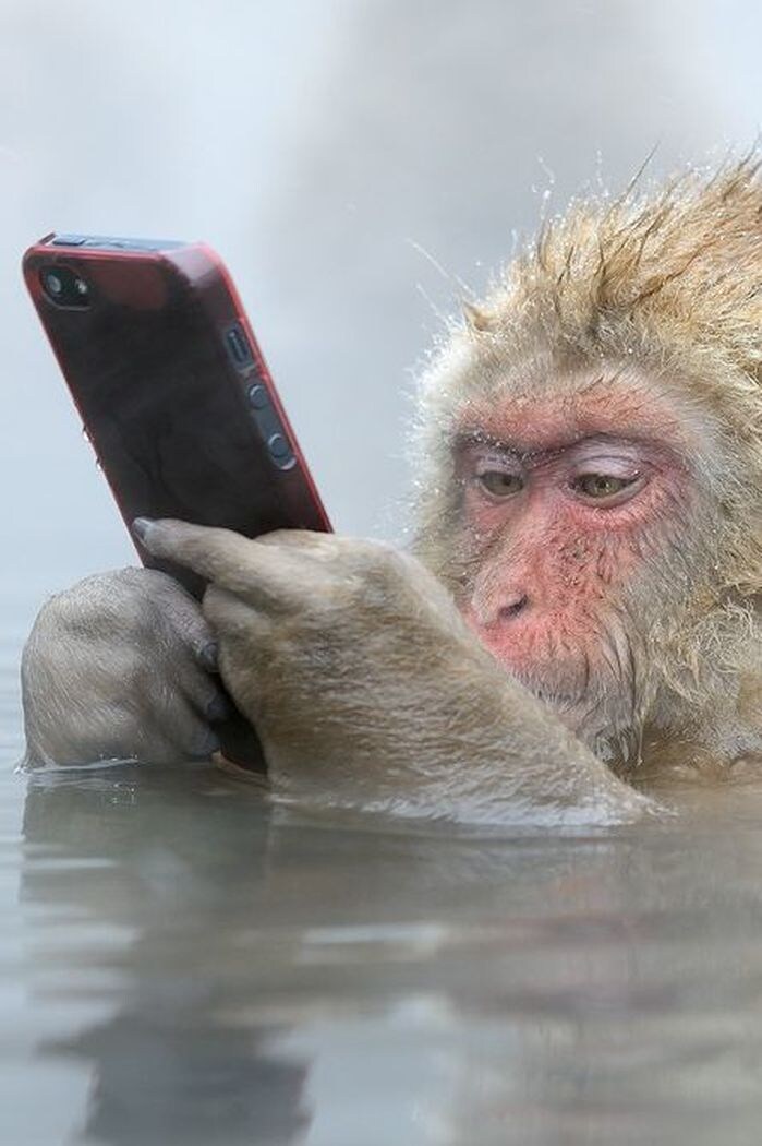 타닥..타닥.. 성녀...와...기사..이야기...그거..개노잼..._1.jpg