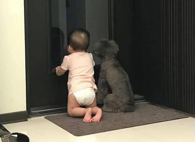 퇴근할 아빠 기다리는 아기와 댕댕이_1.jpg