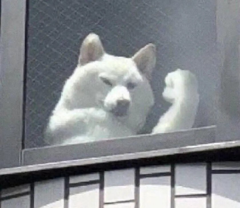 기운 내라 인간_1.jpg