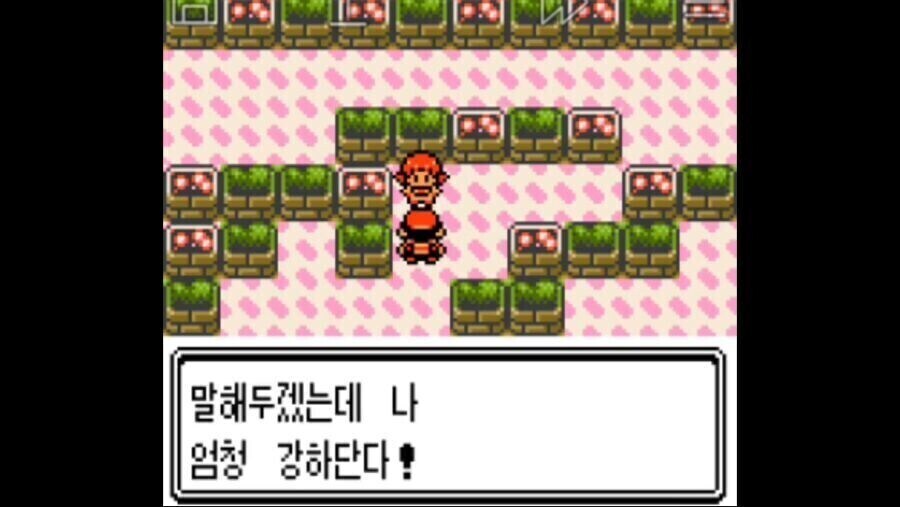 ??:미리 말해 두겠는데 난 상~당히 강하다!_1.jpg