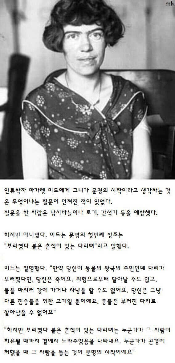 인류학자가 말하는 문명_1.jpg