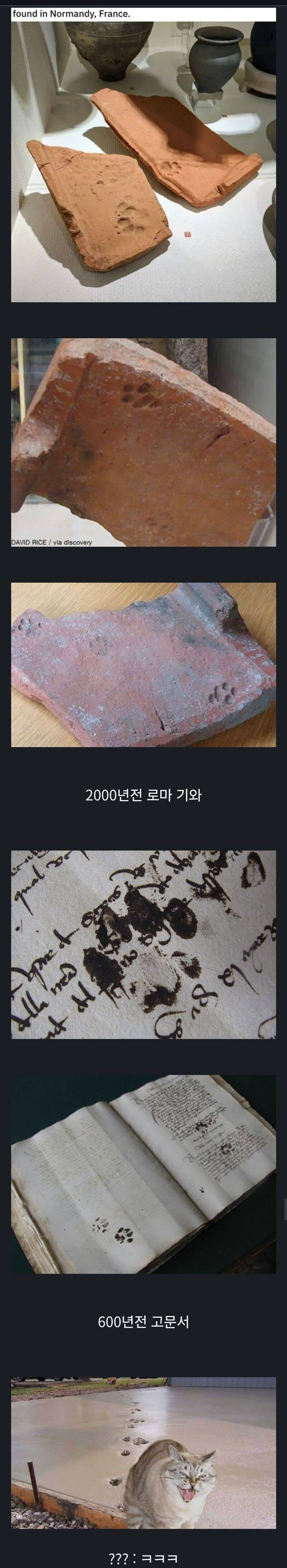 수천 년 동안 변함 없는 동물_1.jpg