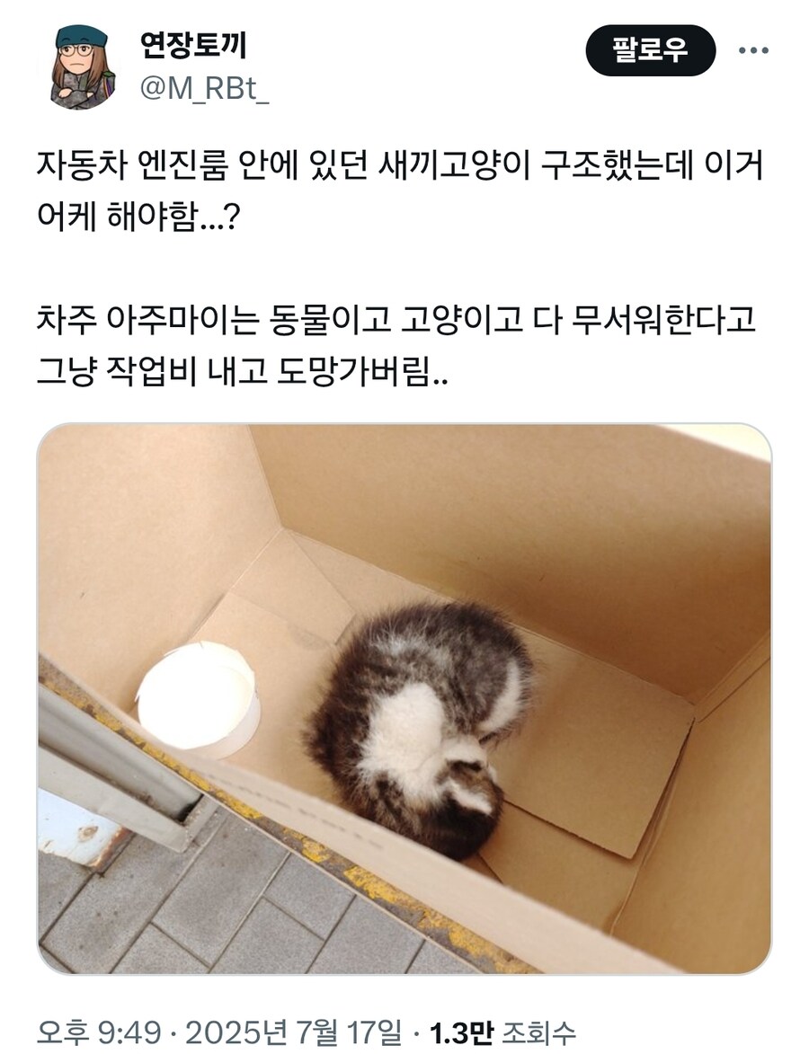 자동차 엔진룸 안에 있던 새끼고양이 구조한 정비소직원_1.jpg