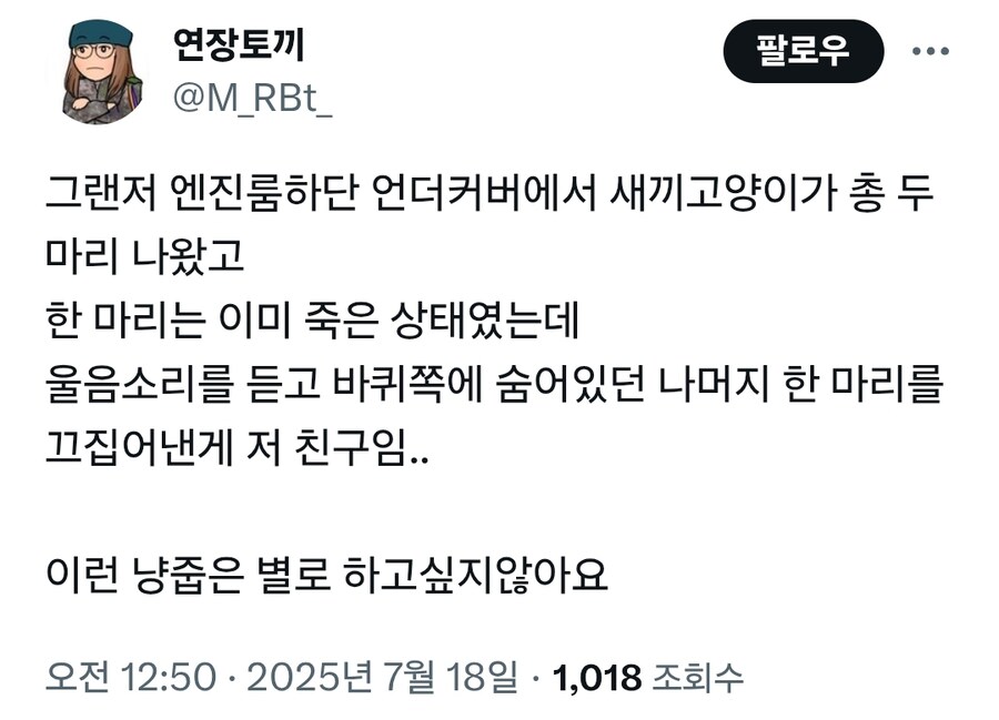 자동차 엔진룸 안에 있던 새끼고양이 구조한 정비소직원_2.jpg