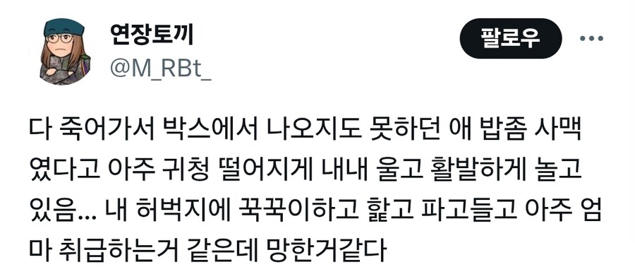 자동차 엔진룸 안에 있던 새끼고양이 구조한 정비소직원_4.jpg