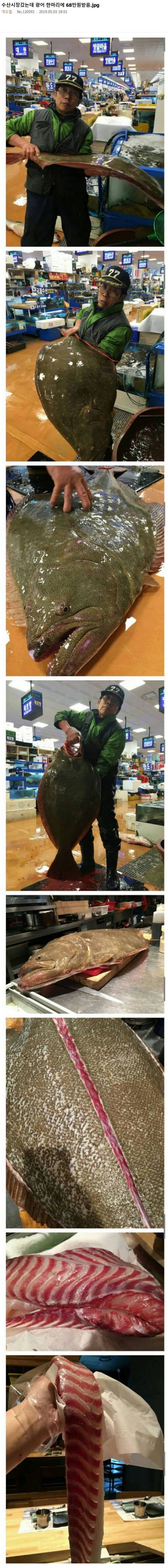 아니 광어가 68만원 이라니_1.jpg