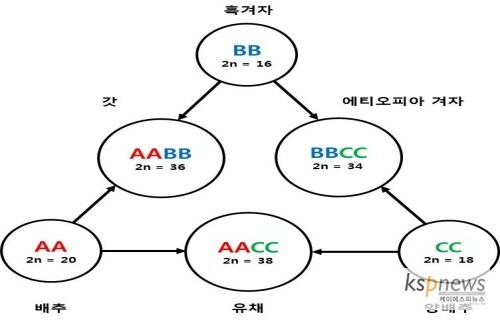 우장춘 박사의 진정한 업적_1.jpg