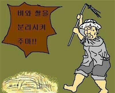 벼와 쌀을 분리시켜주마_1.jpg