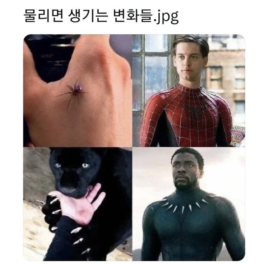 물리면 생기는 변화들_1.png