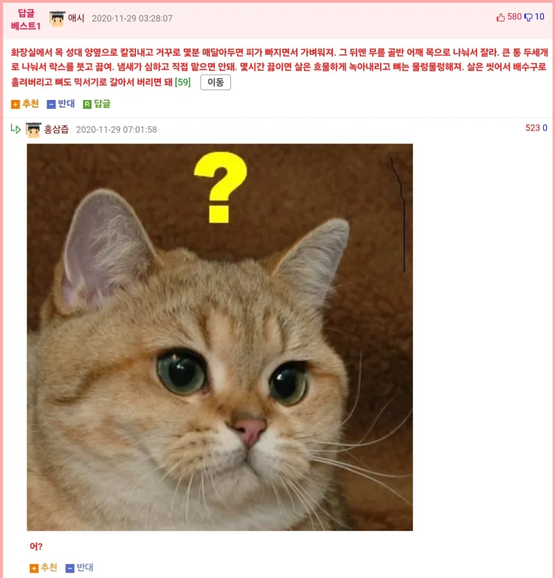 웃대 소름 돋는 댓글 레전드_2.webp