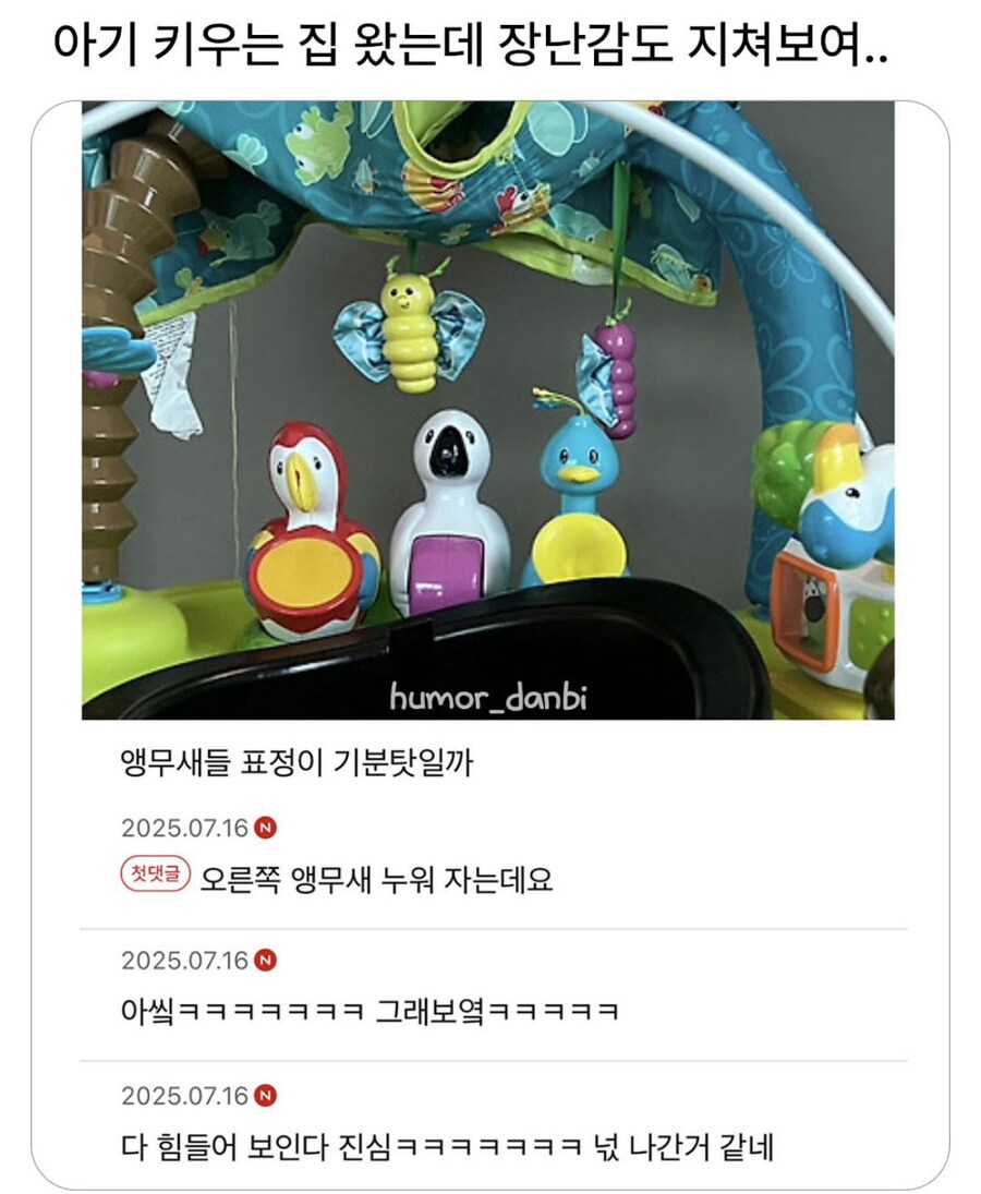 애키우는 집에 간 사람이 느낀 감정_1.png