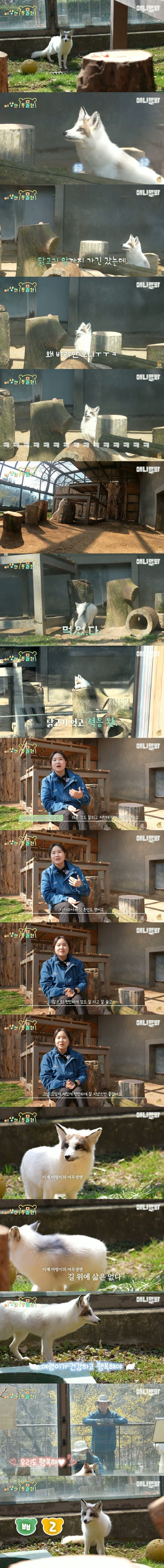 한국을 대표하는 히어로 마블폭스_4.jpg