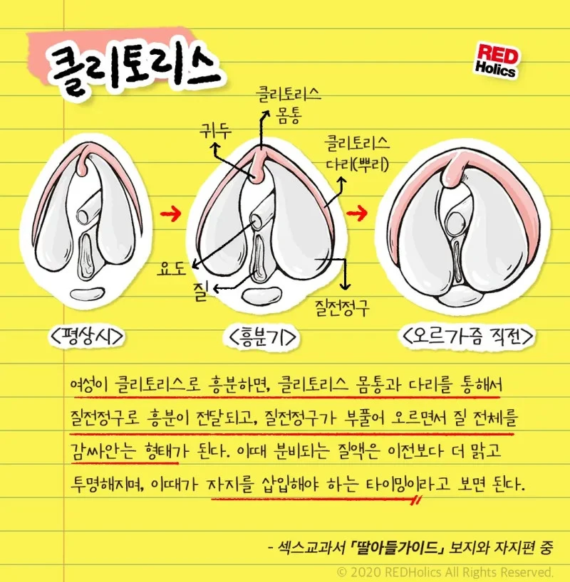 클리토리스에 대해 알아보자_1.webp