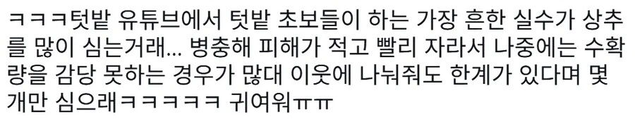 텃밭 초보들이 한다는 실수 jpg._1.webp