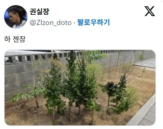 텃밭 초보들이 한다는 실수 jpg._3.webp