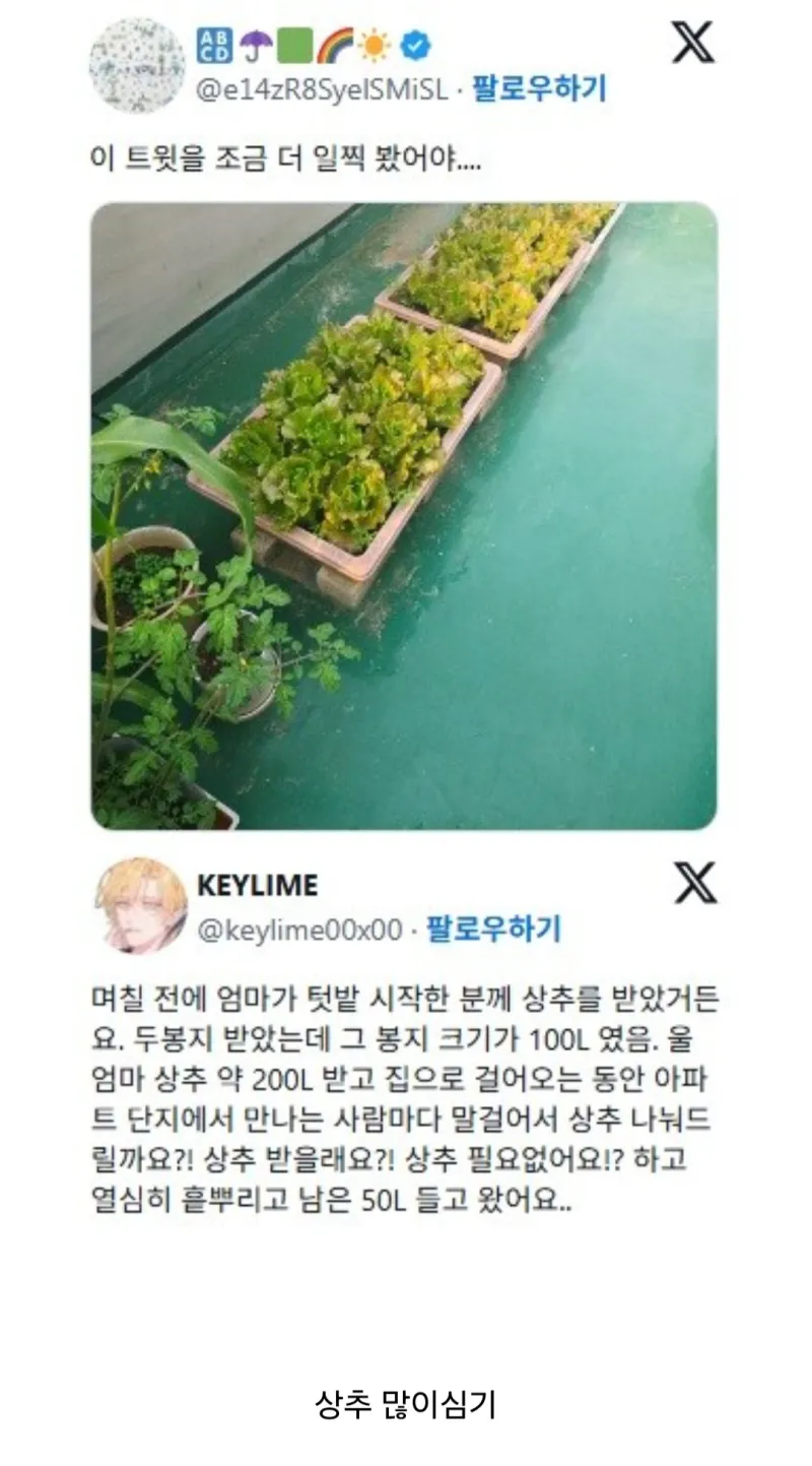 텃밭 초보들이 한다는 실수 jpg._5.webp