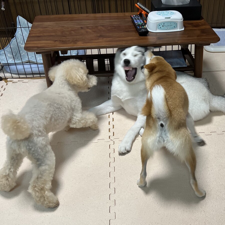 무시무시한 폭력의 현장.jpg_1.jpg