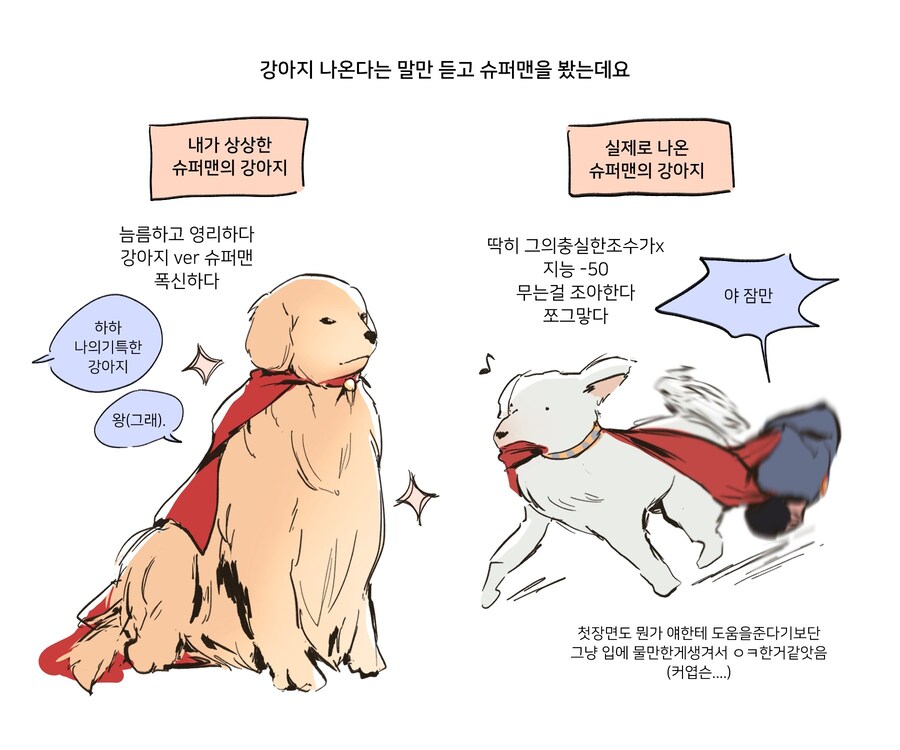 슈퍼맨)강아지 예상 vs 실제_1.jpg