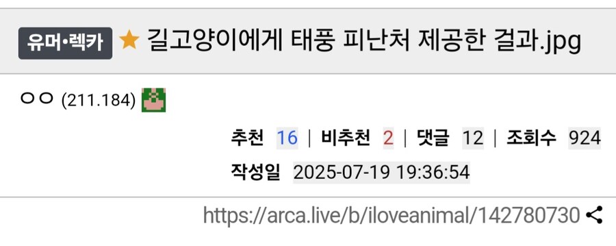 길고양이에게 태풍 피난처 제공한 결과.jpg_1.jpg