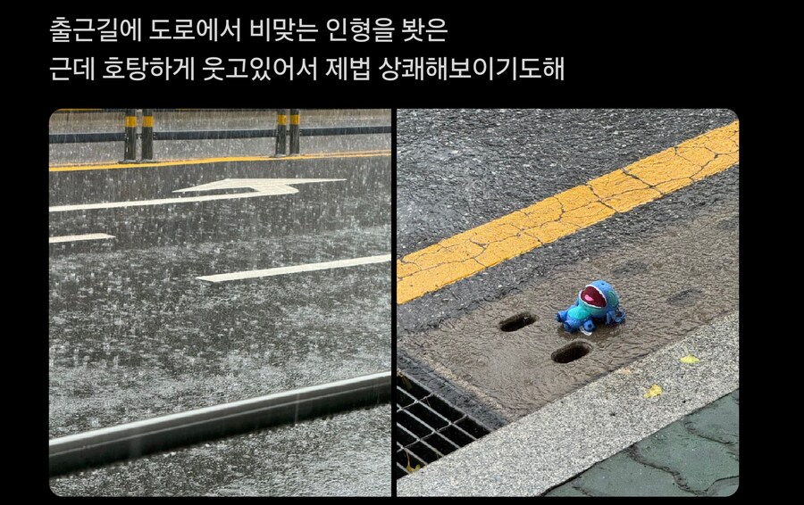 출근길에 버려진 인형을 본_1.jpg