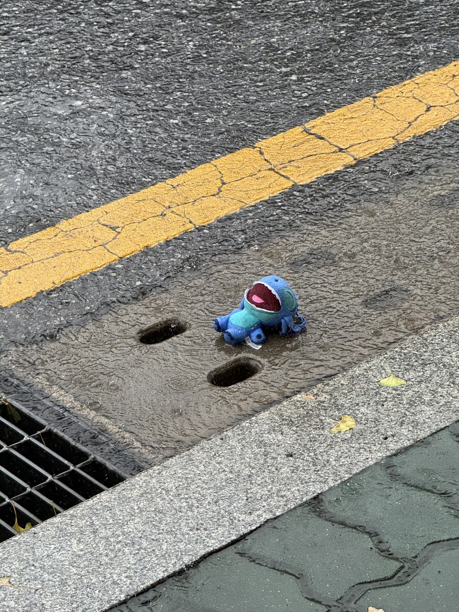출근길에 버려진 인형을 본_2.jpg