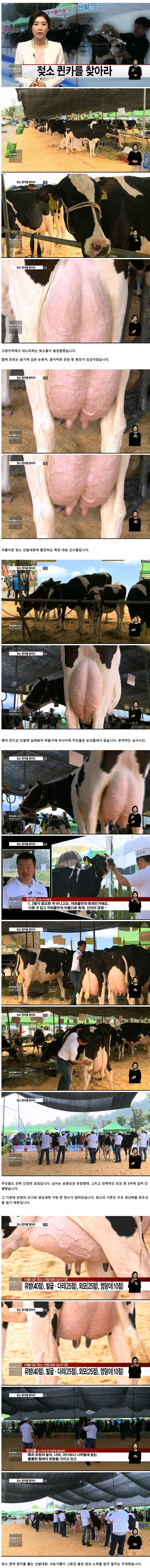 유방이 예쁠수록 많은 점수를 받는 대회_1.jpg