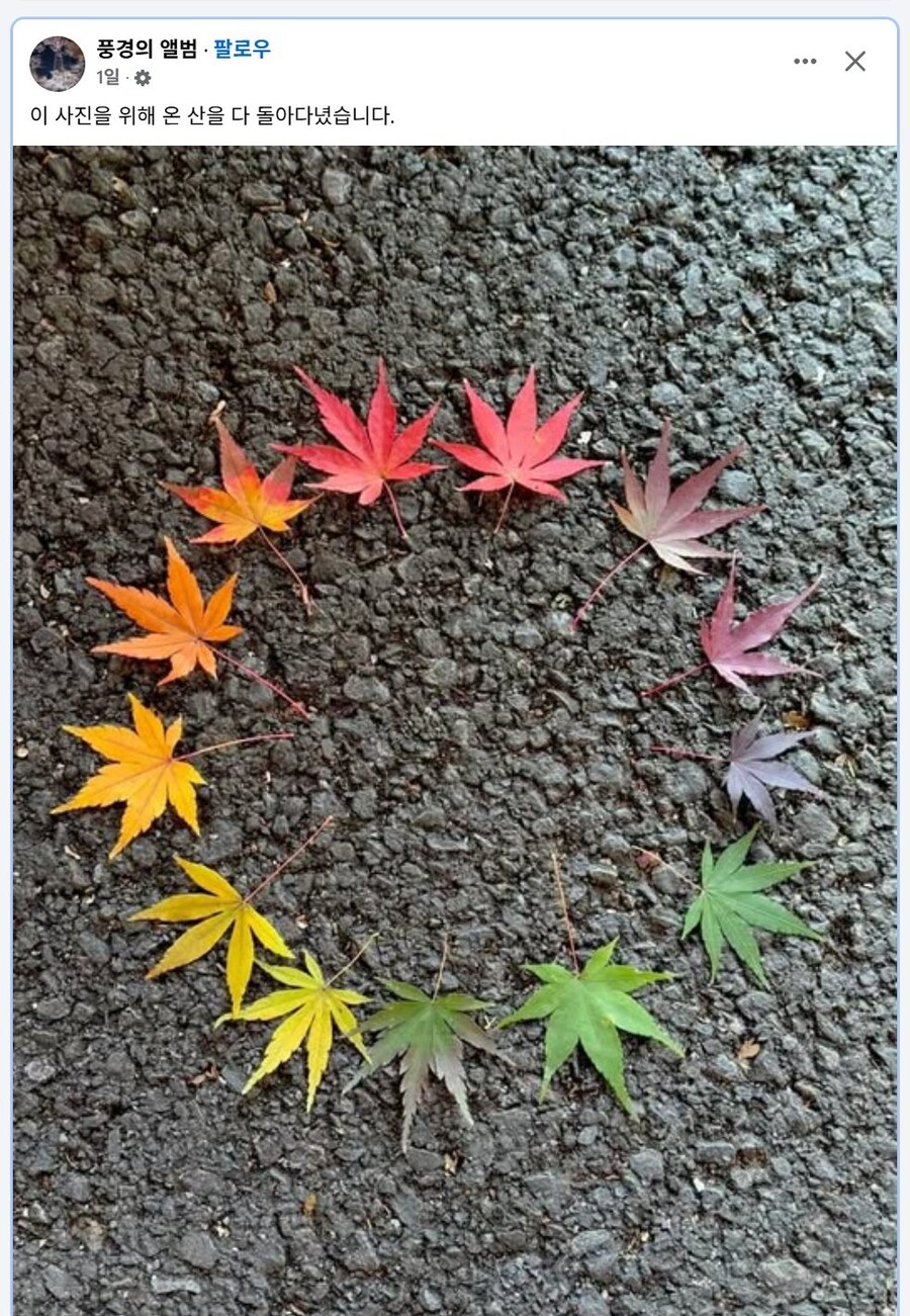 산을 돌아다니며 득템헌것_1.jpg