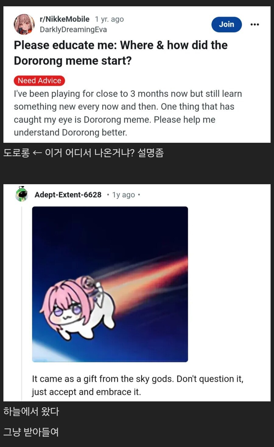 도도롱 밈은 하늘에서 내려 왔구냥_1.jpg