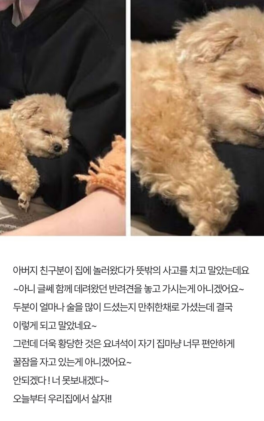 아빠 친구가 두고 간 갱얼쥐_1.jpg