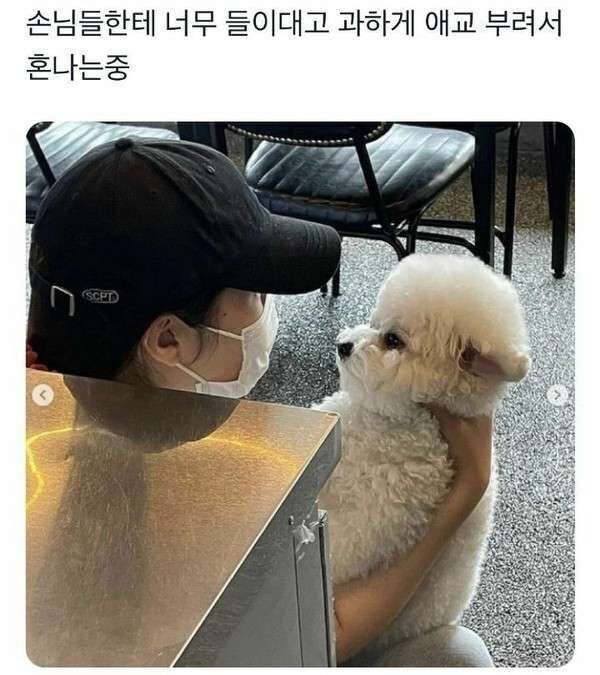 손님한테 들이대서 혼나는 알바생_1.jpg