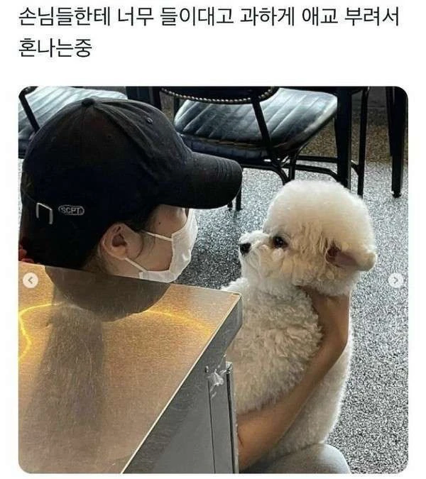 손님한테 들이대서 혼나는 알바생_1.webp