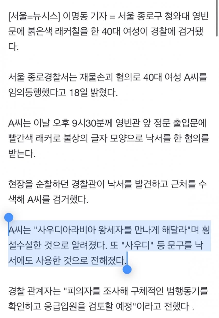청와대 락카 낙서하던 40대 여성 검거_2.jpg