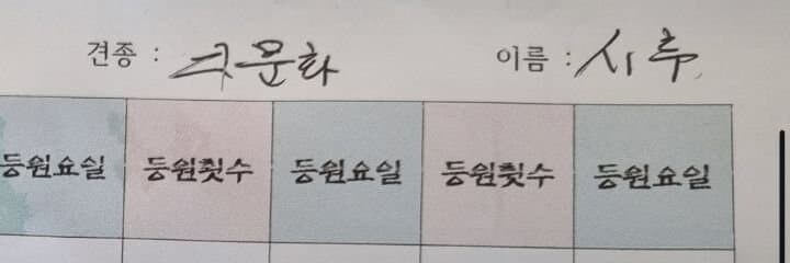 잡종 믹스를 순화하는 단어.jpg_1.jpg