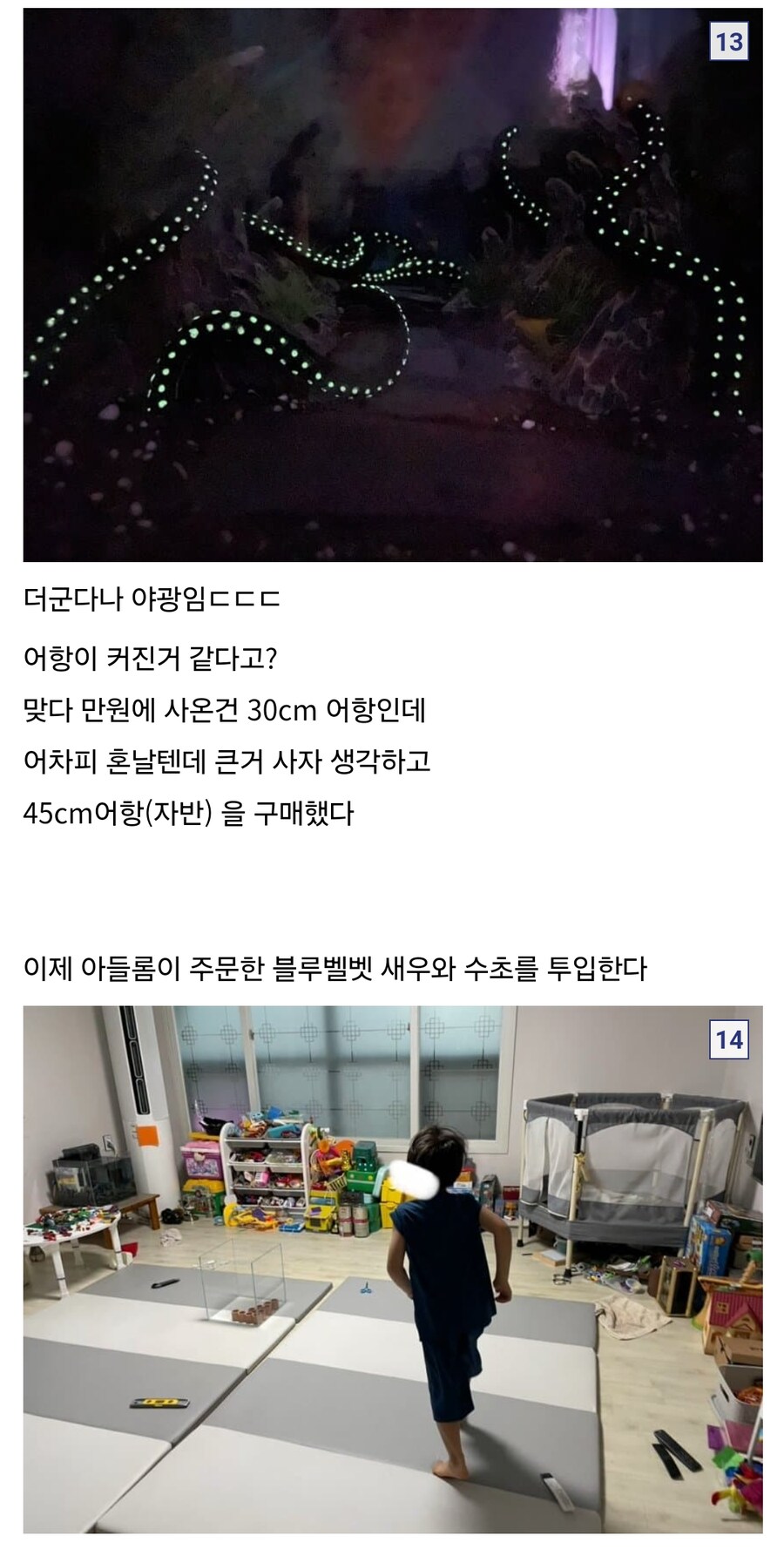 아빠가 아들한테 만들어준 어항_2.jpg