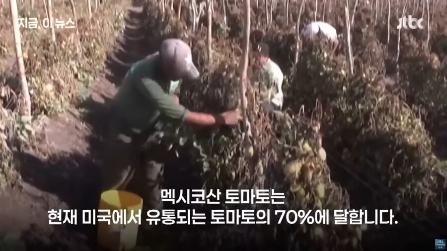 도람뿌 : 우웅 피자먹지 못하게 하꺼얌!_4.png