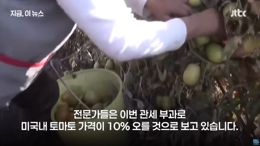도람뿌 : 우웅 피자먹지 못하게 하꺼얌!_5.png