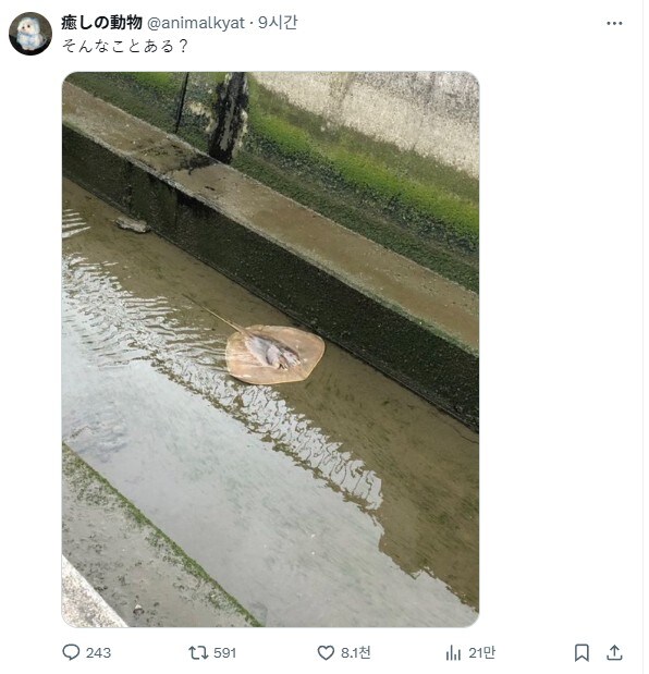 난 누구.. 여긴 어디?_1.jpg