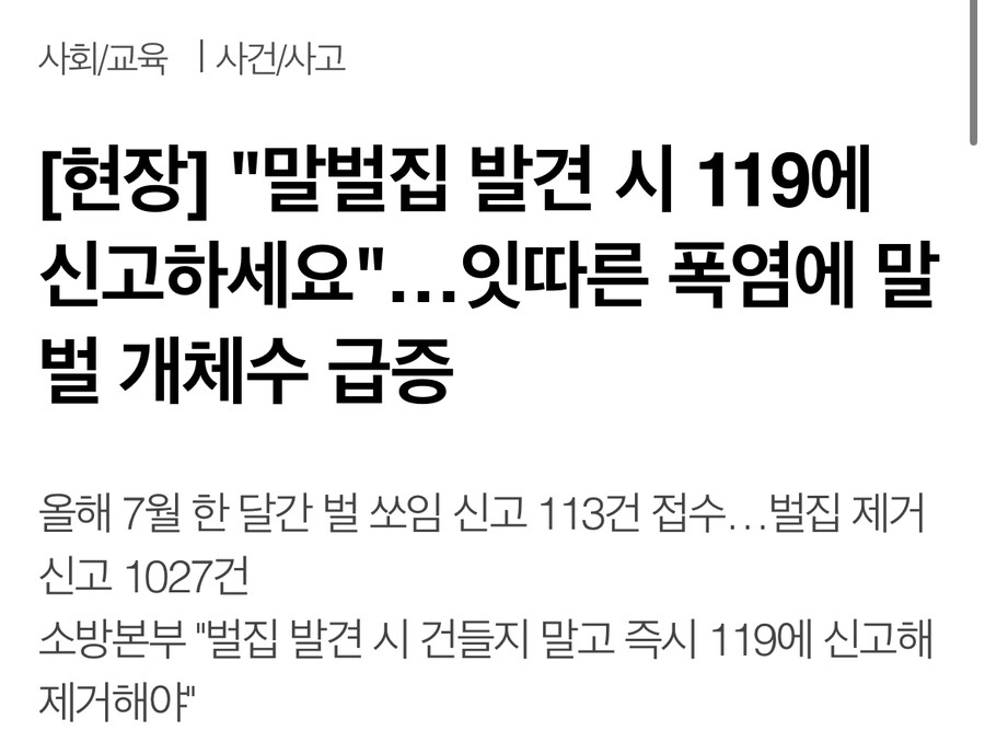 말벌을 잡아야 할 때 119 불러도 되는 이유_3.jpg