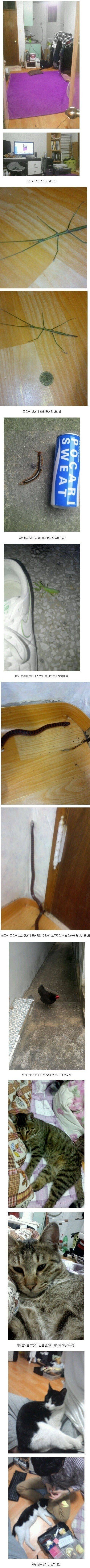 손님이 자주 온다는 어느 원룸_1.jpg