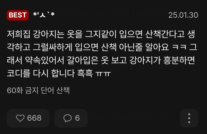 강아지: 하... 쭈인아, 니 옷꼬라지를 봐라_1.png