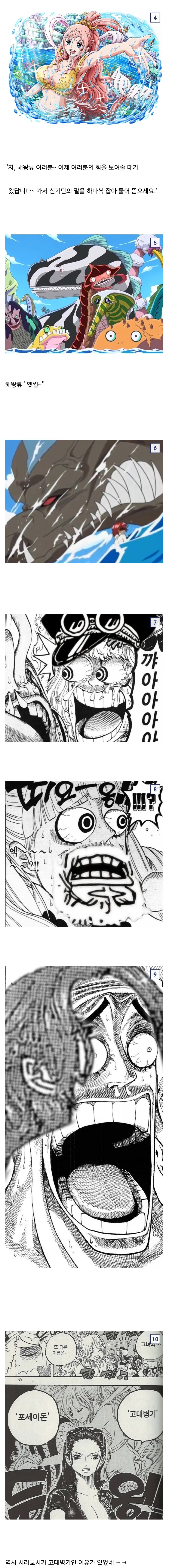 원피스 해왕류가 임의 마법을 파훼할 수 있었던 이유_4.jpg