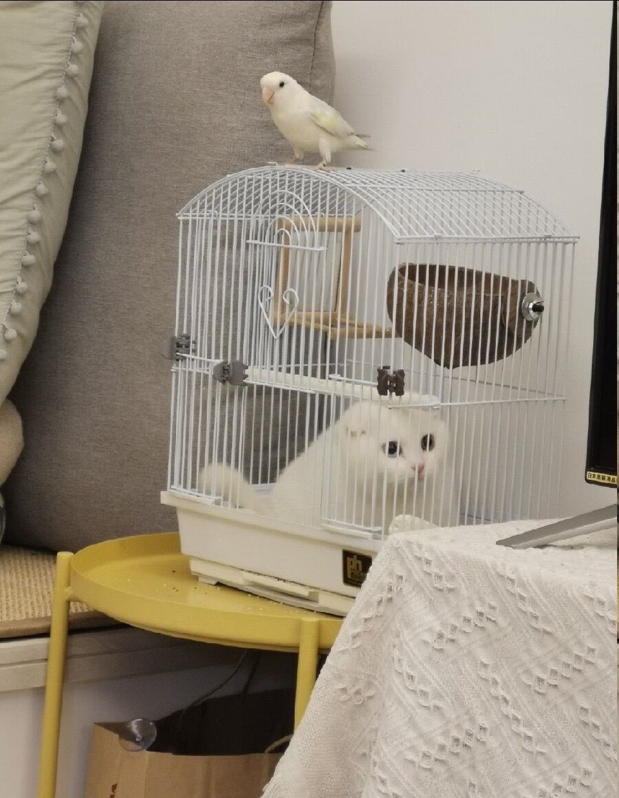 서로가 만족스러운 상황.jpg_1.jpg