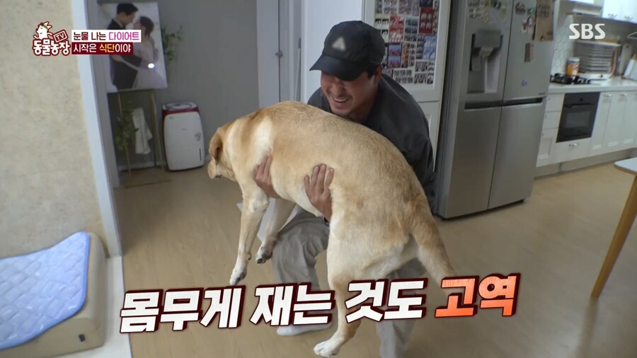 우리집 강아지는 비만 아니라는 여성_2.png