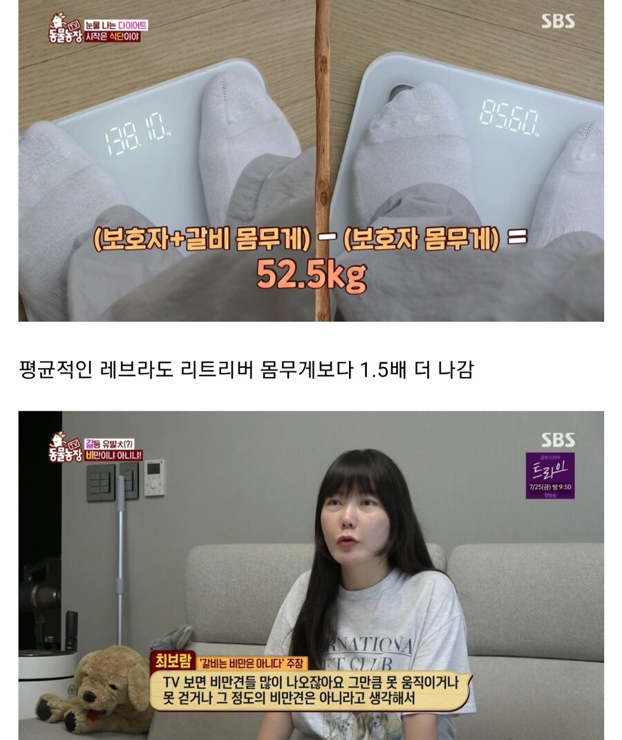우리집 강아지는 비만 아니라는 여성_3.jpg