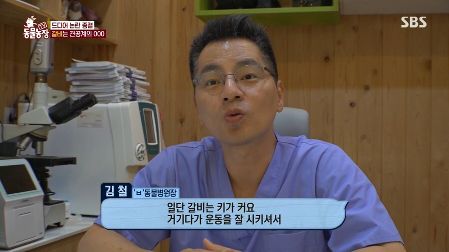 우리집 강아지는 비만 아니라는 여성_6.png