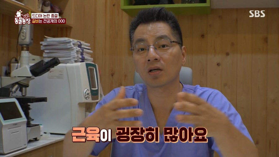 우리집 강아지는 비만 아니라는 여성_7.png