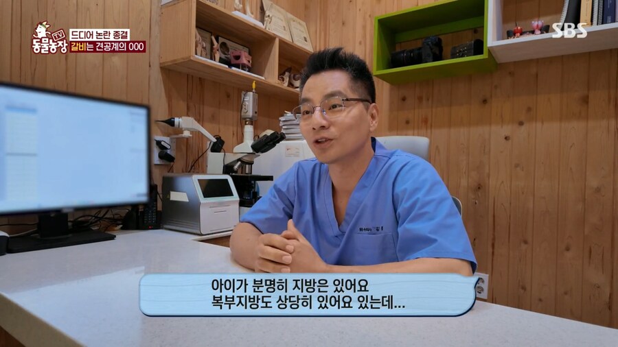 우리집 강아지는 비만 아니라는 여성_8.png