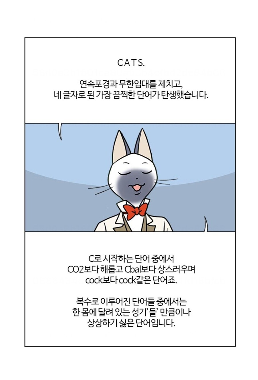 부기영화) 개인적인 레전드 리뷰_1.jpg