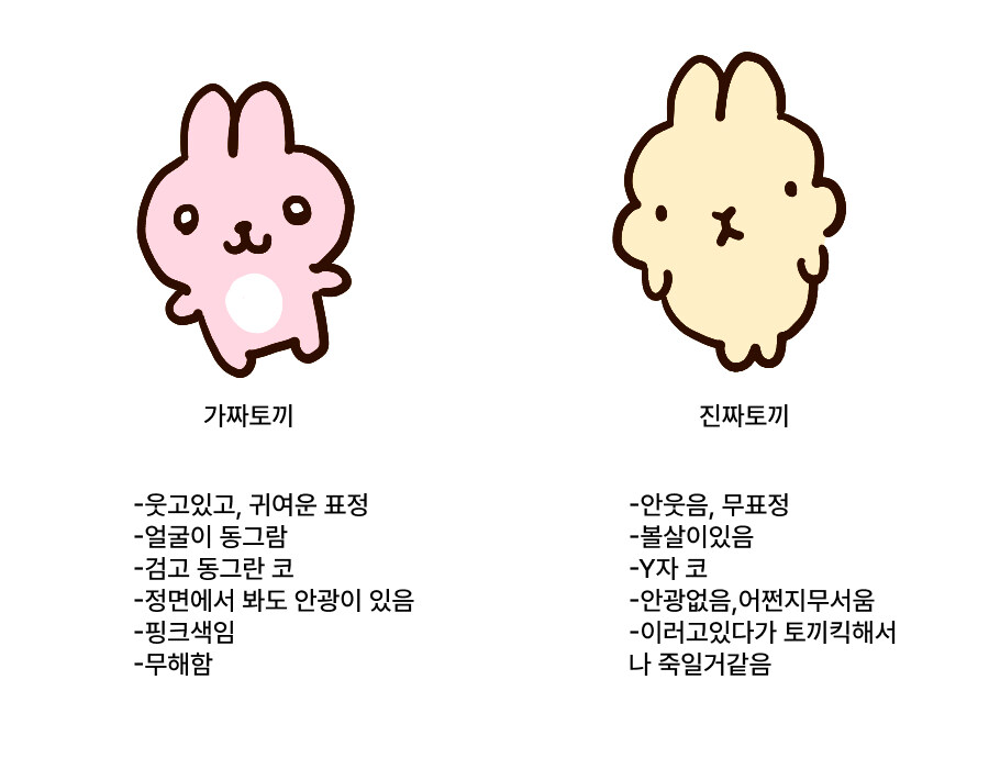 토끼 특_1.jpg