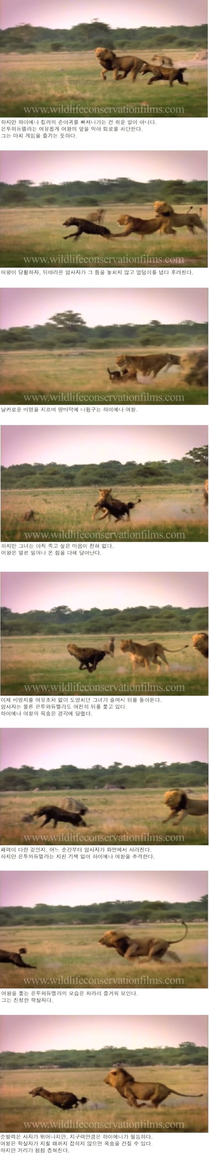 신하들한테 왕권과시하다가 옆나라 왕에게 골로 가버린 여왕_3.jpg